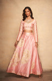 Load image into Gallery viewer, Pink Rose Gota Skirt
